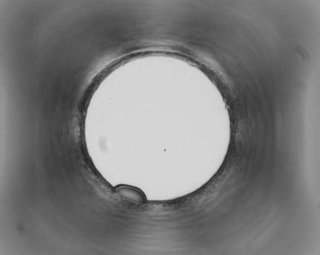 X0000110911360200907301533