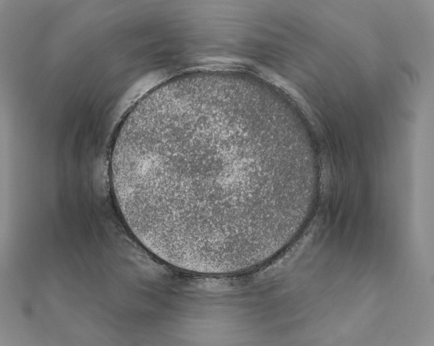 X0000110911362200907301533