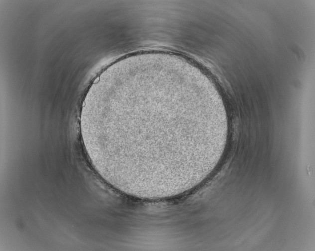 X0000110911363200907301533