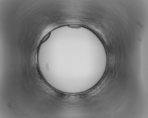 X0000110911365200907301533