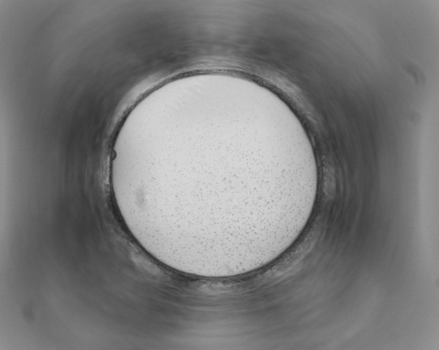 X0000110911366200907301533