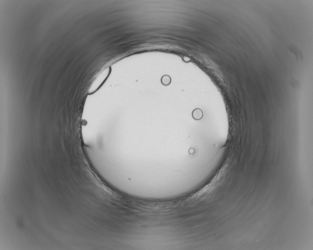 X0000110911369200907301533