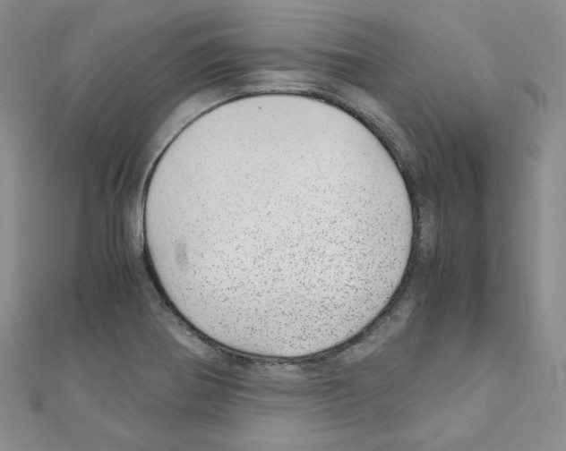 X0000110911370200907301533