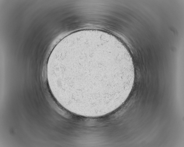 X0000110911371200907301533