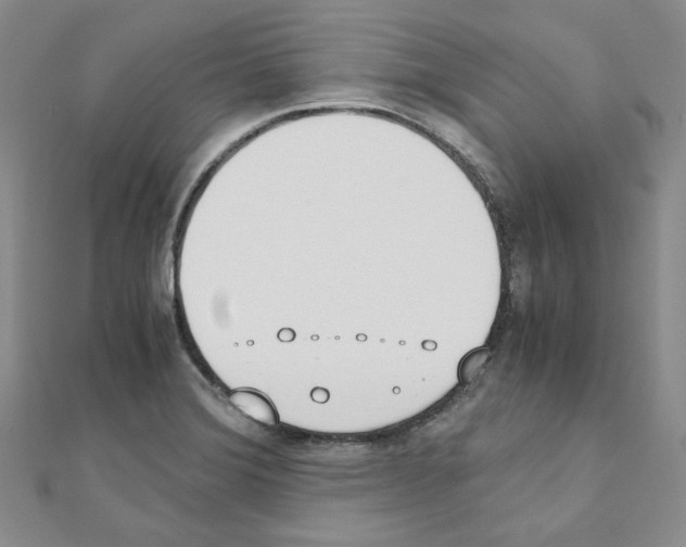 X0000110911372200907301533