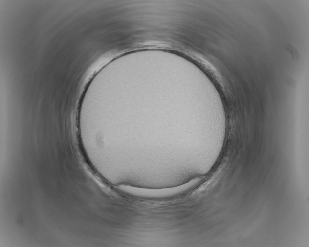 X0000110911373200907301533