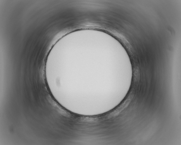 X0000110911374200907301533