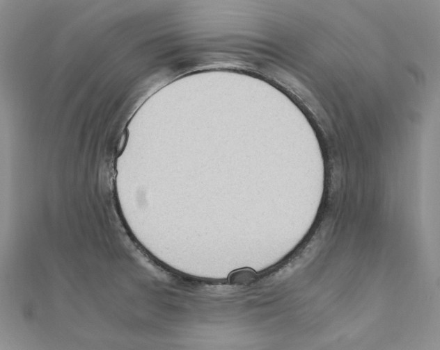 X0000110911377200907301533