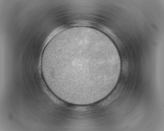 X0000110911378200907301532