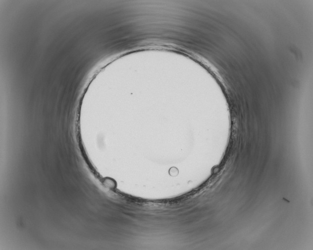 X0000110911379200907301532