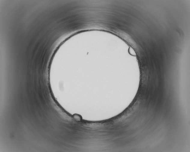 X0000110911380200907301532