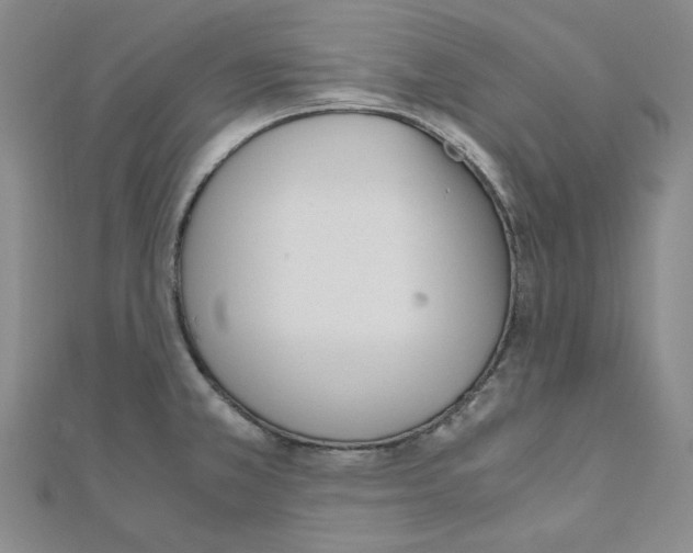 X0000110911381200907301532