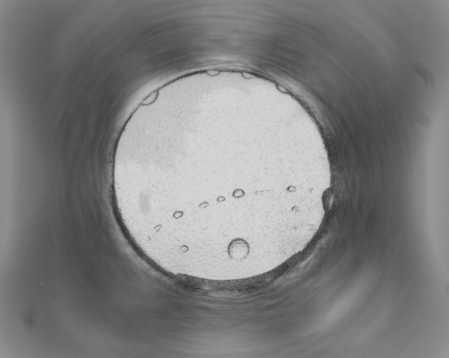 X0000110911383200907301532