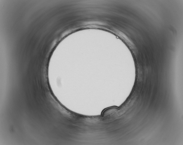 X0000110911384200907301532