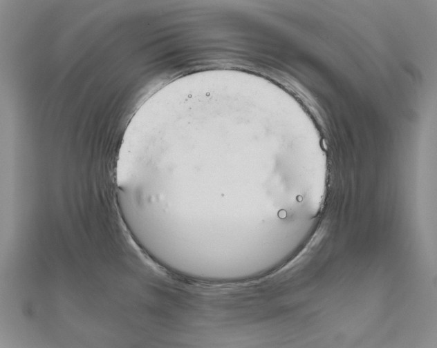 X0000110911385200907301532