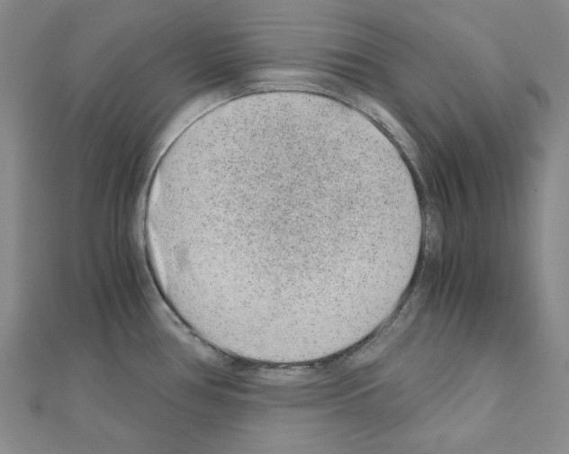 X0000110911386200907301532