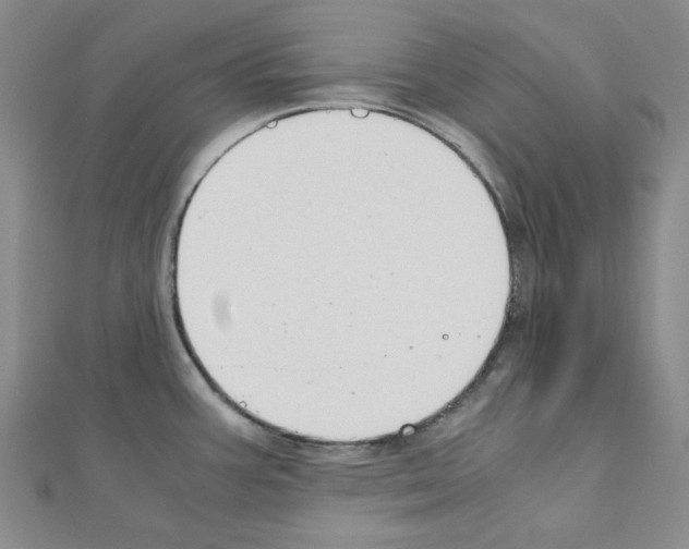 X0000110911387200907301532