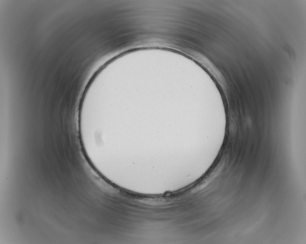 X0000110911388200907301532