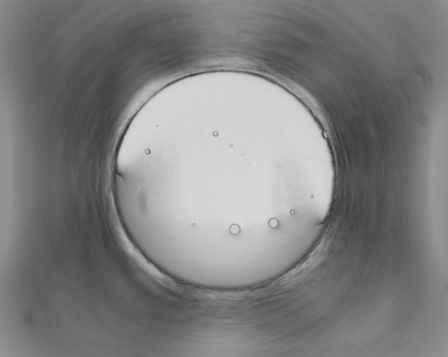 X0000110911389200907301532