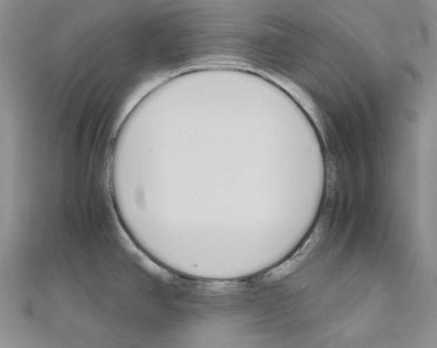 X0000110911390200907301532