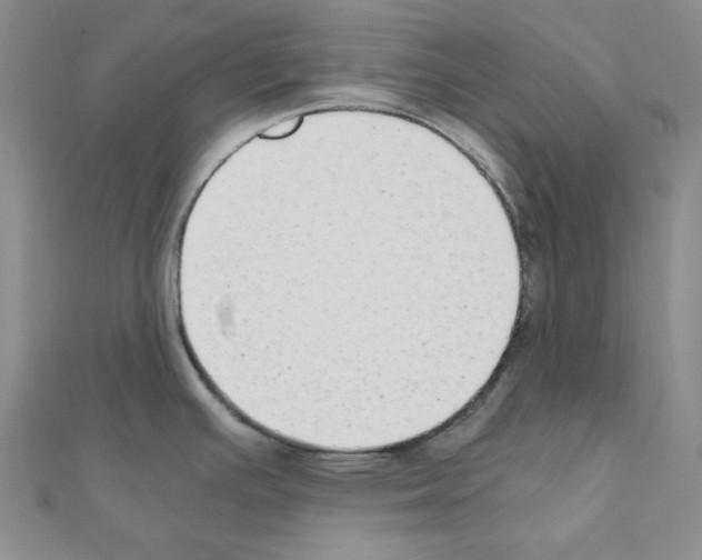 X0000110911391200907301532