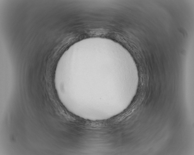 X0000110911393200907301532