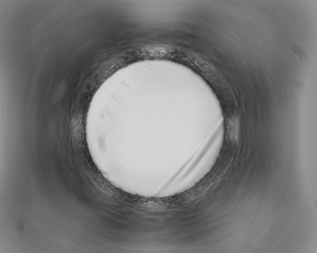 X0000110911395200907301532