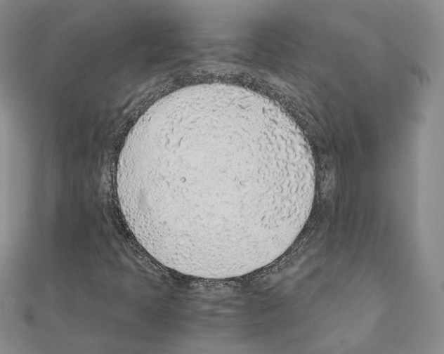 X0000110911397200907301532