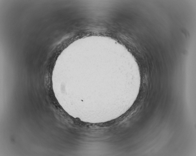 X0000110911398200907301532