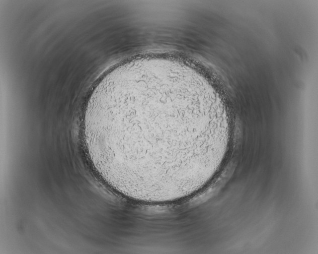 X0000110911401200907301532