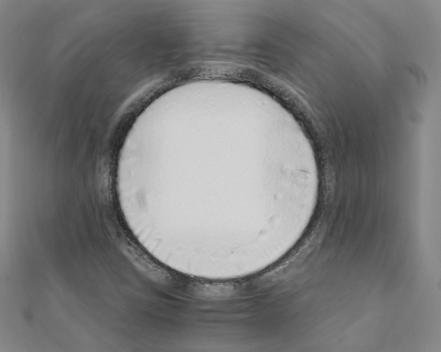 X0000110911403200907301532