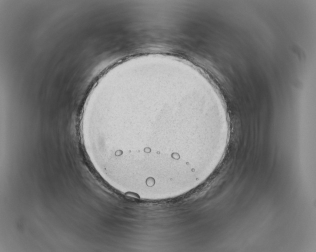 X0000110911404200907301532