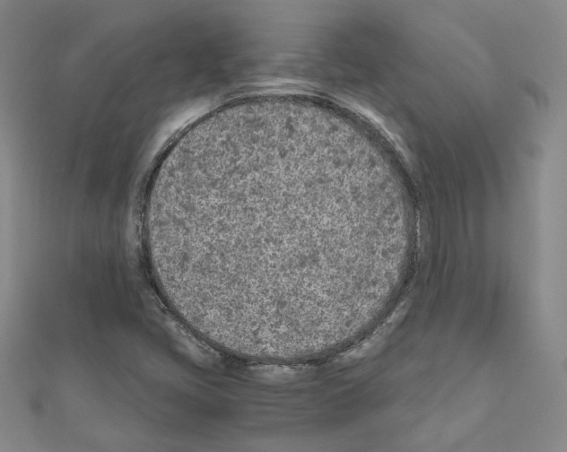 X0000110911405200907301532