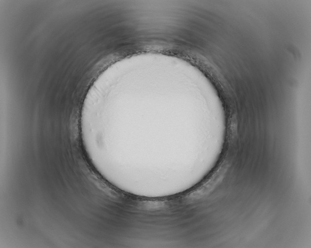 X0000110911409200907301532