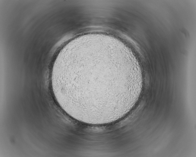 X0000110911411200907301532