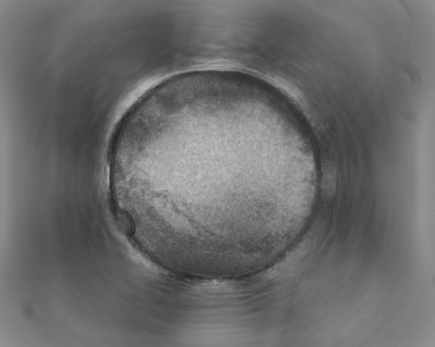 X0000110911414200907301532