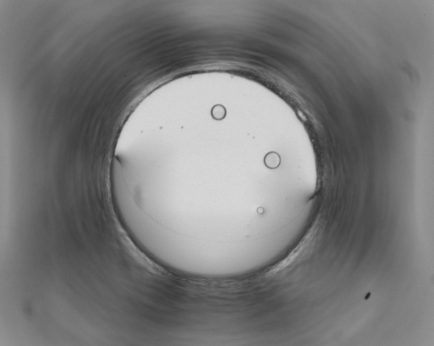 X0000110911417200907301532