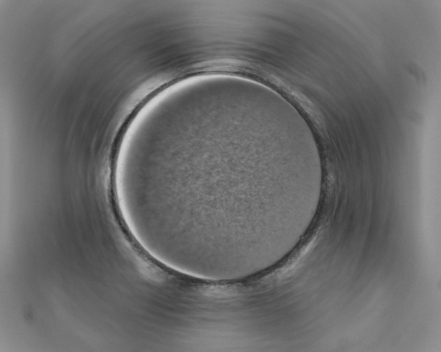 X0000110911418200907301532