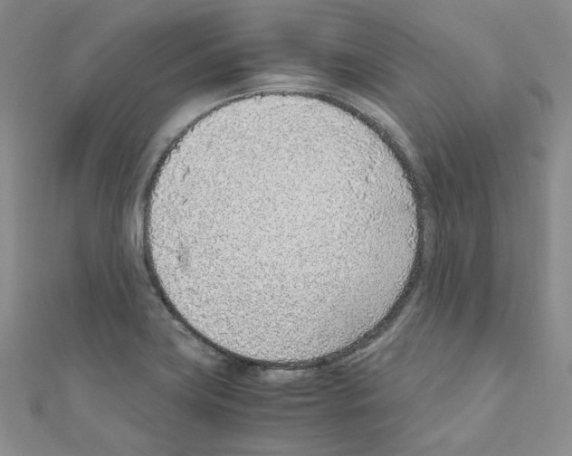 X0000110911419200907301532