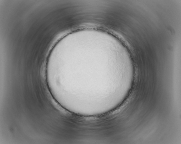 X0000110911421200907301532