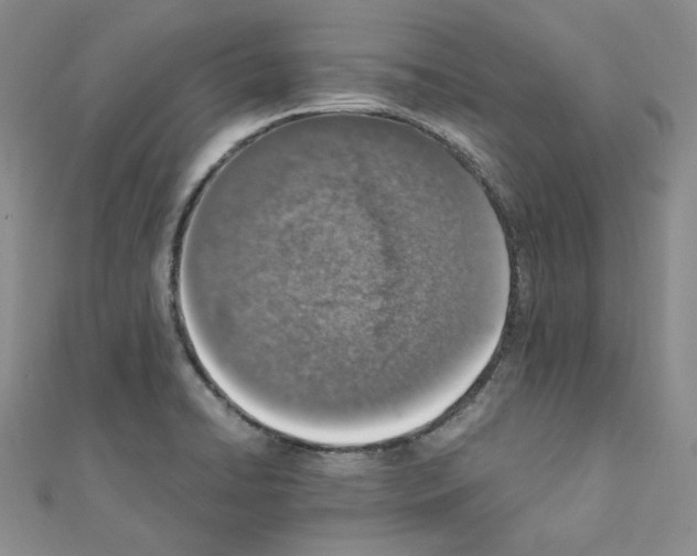 X0000110911422200907301532