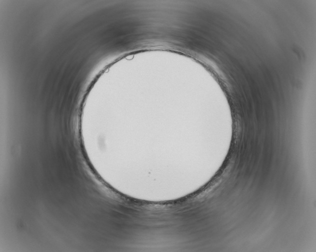 X0000110911424200907301532