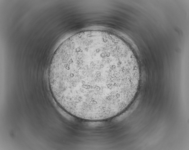 X0000110911425200907301532