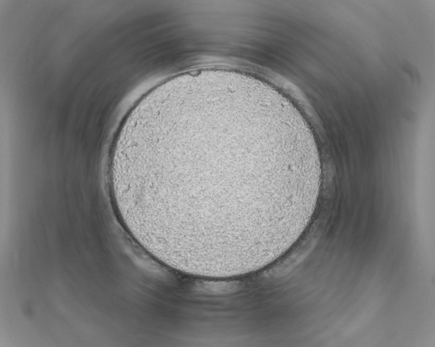 X0000110911427200907301532