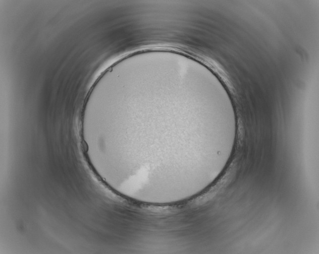 X0000110911428200907301532