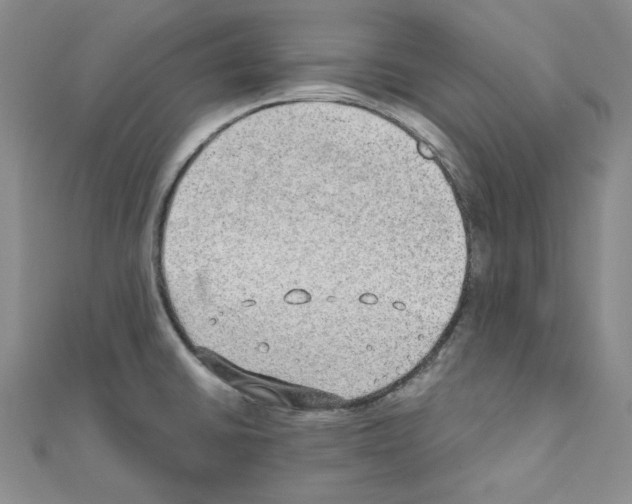 X0000110911430200907301532