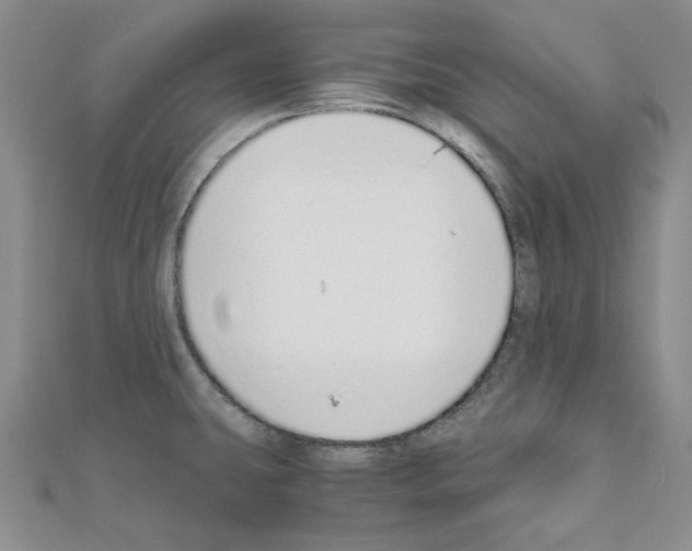 X0000110911431200907301532