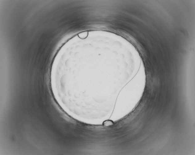 X0000110911432200907301532