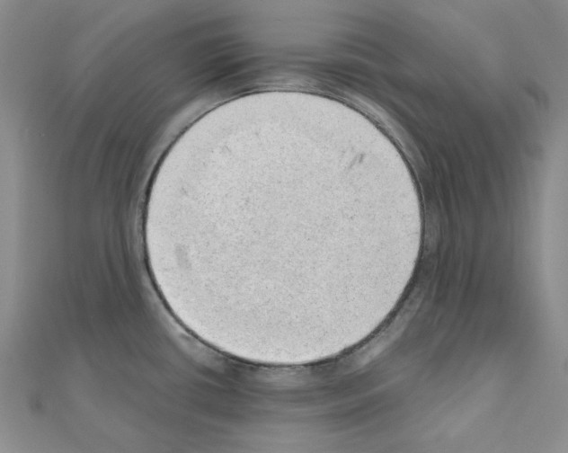 X0000110911434200907301532