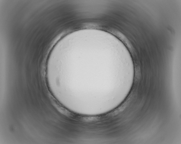 X0000110911435200907301532